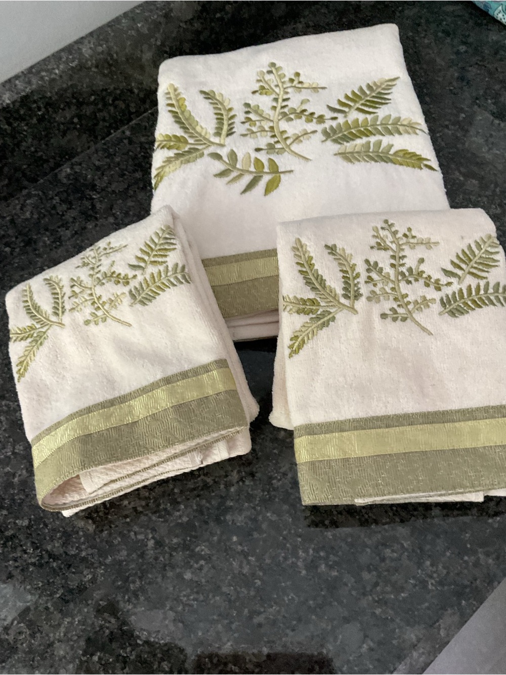 Avanti White and Green Embroidered Fern Bath Towel Set